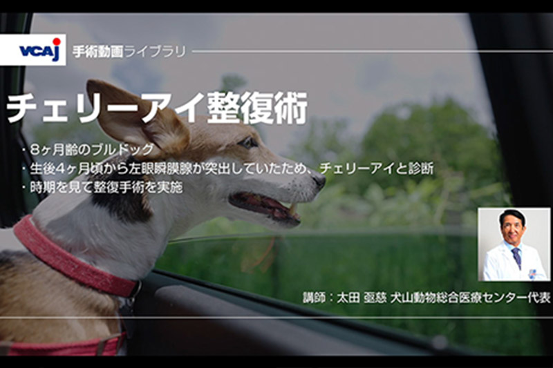 WOOF UNIVERSITYイメージ写真